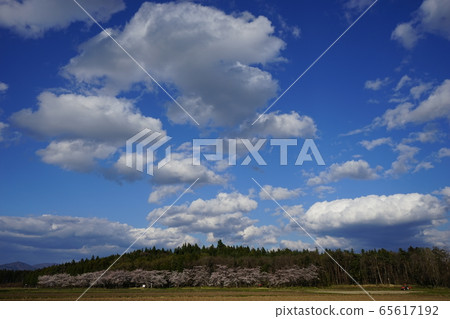 金岡卡歷史公園的月亮環形狀 65617192