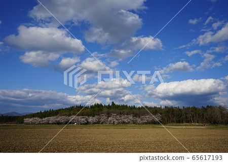 金岡卡歷史公園的月亮環形狀 65617193