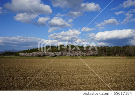 金岡卡歷史公園的月亮環形狀 65617194