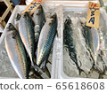 Shining mackerel @ fish shop in front of the station 65618608