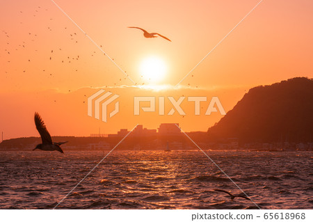 Nishiizu Sunset and Seabirds (Shizuoka Prefecture) 65618968