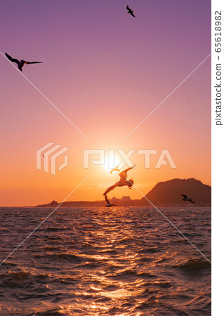 西伊豆日落和海鳥（靜岡縣） 65618982
