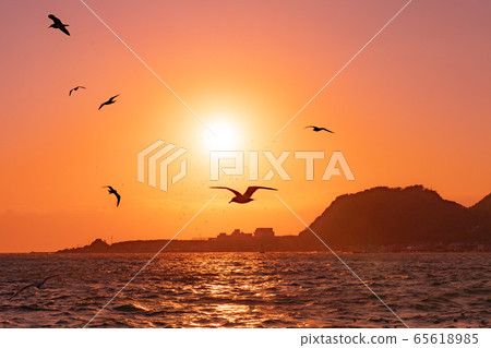 Nishiizu Sunset and Seabirds (Shizuoka Prefecture) 65618985