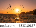 Nishiizu Sunset and Seabirds (Shizuoka Prefecture) 65618987