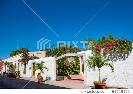 The street corner of fashionable Valladoli, Mexico 65619133