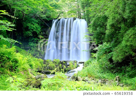 Karasawa waterfall in Sugadaira Kogen in summer 65619358