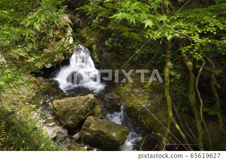 Waterfall of waterfall Maniwa City, Okayama Prefecture 65619627