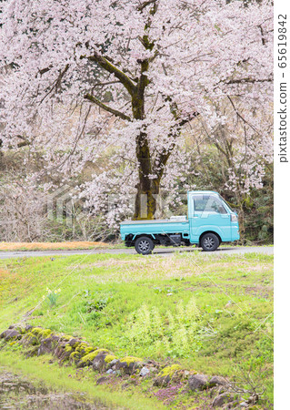 Uonuma City, Niigata Prefecture Spring-colored rural areas (cherry blossoms, light-blue light trucks, young grass) Uonuma City, Niigata Prefecture Spring-colored rural areas (cherry blossoms, light-blue light trucks, young grass) 65619842