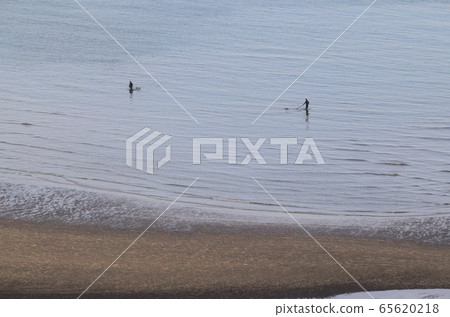 Shellfish fishing in tidal flats 65620218