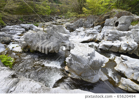 Ryuguiwa（岡山縣真庭市神颱市） 65620494