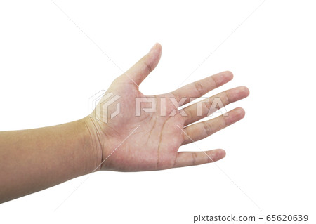 Women's hands in various postures. Women's hands in various postures. 65620639