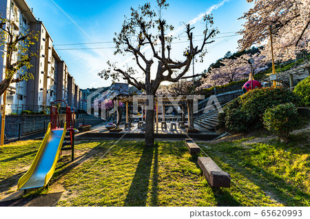 Takarazuka Nakayama Satsukidai Park 65620993