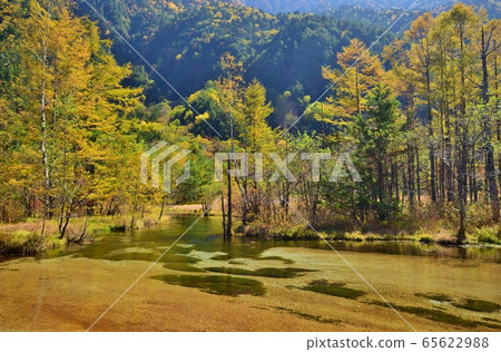 信州上高地秋天的景色 65622988