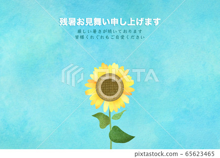 夏季向日葵的餘輝 65623465