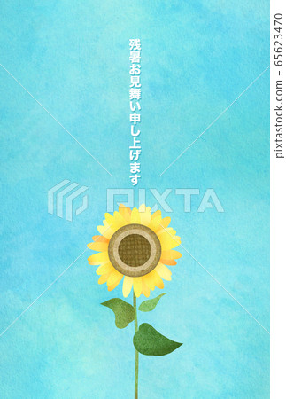 Afterglow in summer-sunflower 65623470
