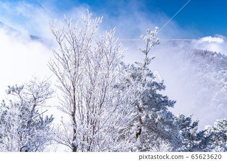  《Yamanashi Prefecture》Frosted Ice Forest, Santoge 65623620
