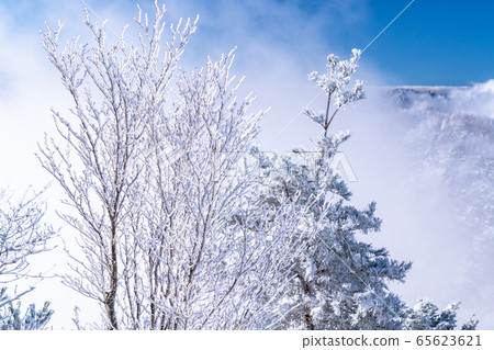 《山梨縣》桑托格冰雪森林 《山梨縣》桑托格冰雪森林 65623621