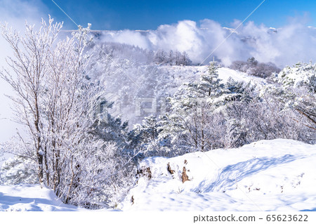  《山梨縣》桑托格冰雪森林 65623622