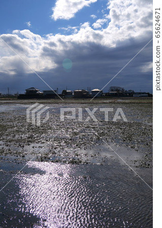 Winter morning rice field scenery after rain Winter morning rice field scenery after rain 65624671