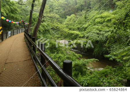 城北區正陵洞胡同胡同 城北區正陵洞胡同胡同 65624864