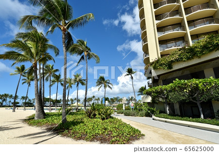 Holidays in Hawaii 65625000