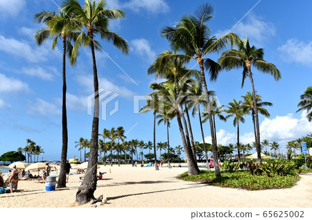 Holidays in Hawaii 65625002