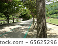 walk 65625296