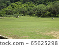 Park 65625298