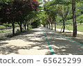 Promenade 65625299