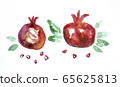 Watercolor pomegranate on a white background. 65625813