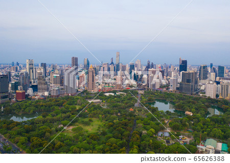Aerial view of green trees in Lumpini Park, Aerial view of green trees in Lumpini Park, 65626388