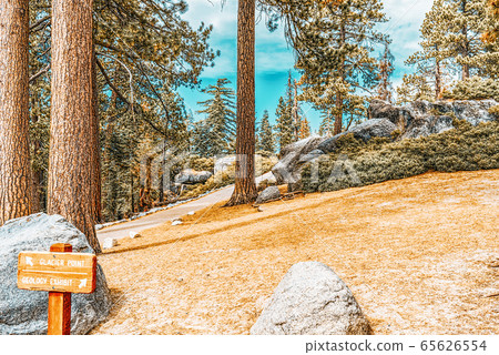 Magnificent national American natural park - Magnificent national American natural park - 65626554