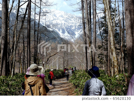 From Taisho pond to Tashiro pond 65628130