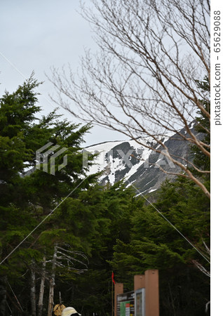 Haru沒有山在春天 65629088