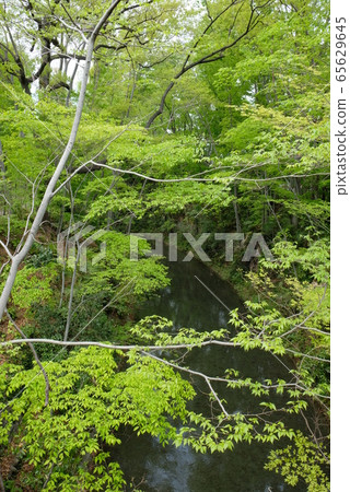 XT2 2018年3月,福薩市第4部分 XT2 2018年3月,福薩市第4部分 65629645