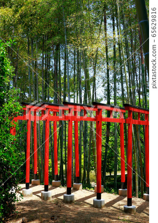 Torii Torii 65629816