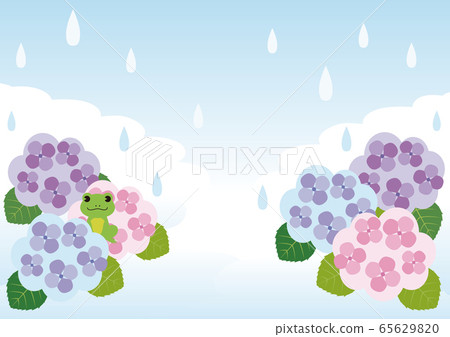 Hydrangea hydrangea hydrangea rainy season flower illustration copy space background Hydrangea hydrangea hydrangea rainy season flower illustration copy space background 65629820