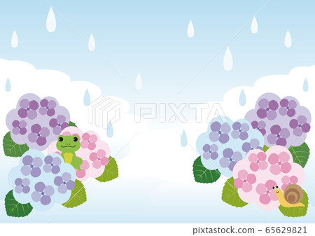 繡球繡球繡球雨季花插圖複製空間背景 65629821