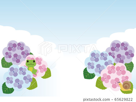Hydrangea hydrangea hydrangea rainy season flower illustration copy space background Hydrangea hydrangea hydrangea rainy season flower illustration copy space background 65629822