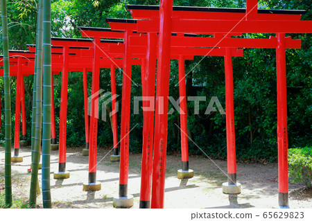 Torii Torii 65629823