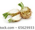 Fresh celery stalk and celeriac slice isolated 65629933
