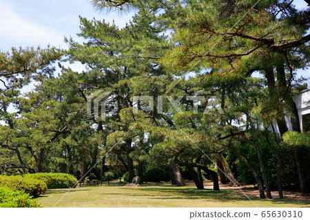 日本庭園 日本庭園 65630310