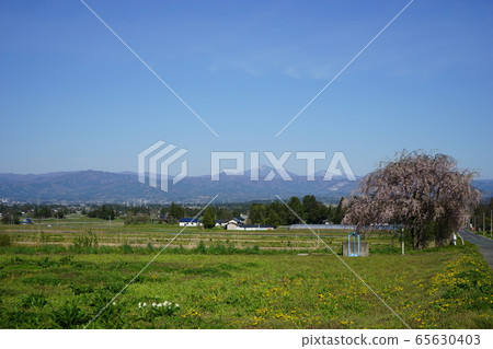Haru no Yama mountain in spring Haru no Yama mountain in spring 65630403