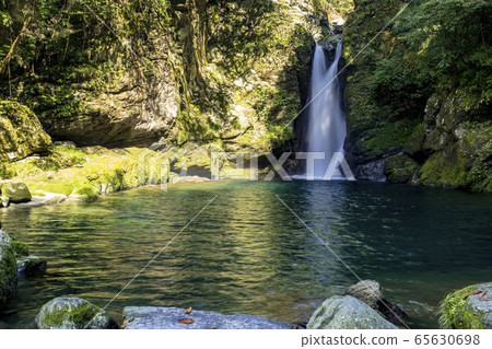 The Kochi Prefecture 65630698