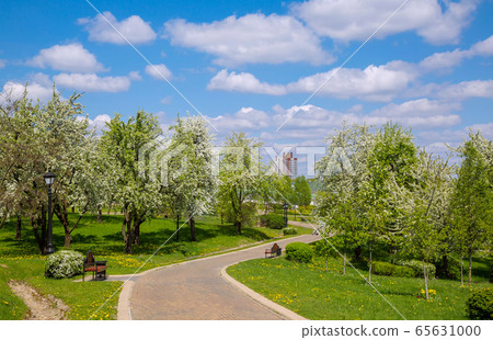 Spring in the city park 65631000