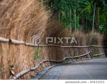 京都Sagano竹林道 65631033