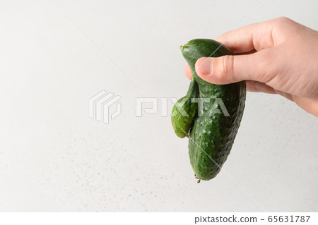 Ugly cucumber in child hand. Organic vegetables. 65631787