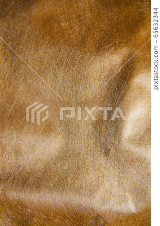 Fur surface 65632344