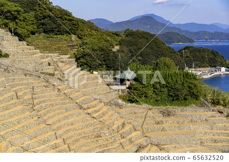 宇和島市水穀勇子的梯田 宇和島市水穀勇子的梯田 65632520