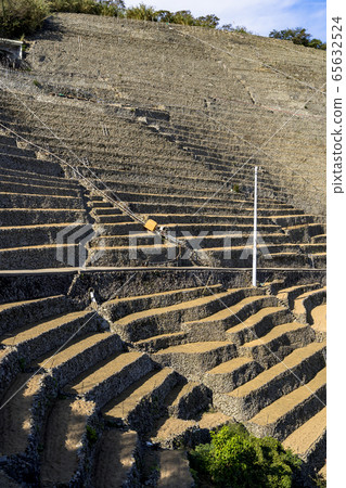 Terraced fields at Yuzi Mizunagaura in Uwajima City 65632524